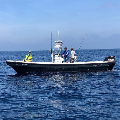 Passagierboot Berufsschiff - PANGA FERRET - Taucherbasisboot / Berufsschiff für Fischerei / Außenborder