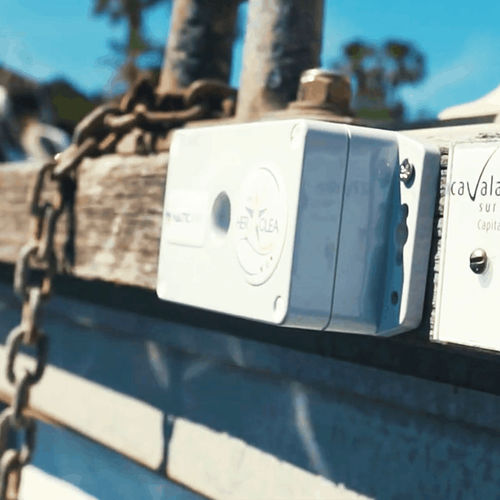 Liegeplatzbelegungs-Sensor - ShellSpot - NauticSpot - für Yachthafen