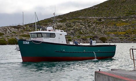 Patrouillenboot Berufsschiff - LEAH - Sachal Shipyard - Arbeitsboot / Offshore-Hafenboot / Umweltschutzboot