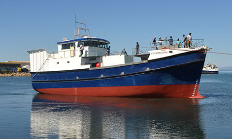 Trawler-Berufsschiff - STORMGANS - Sachal Shipyard