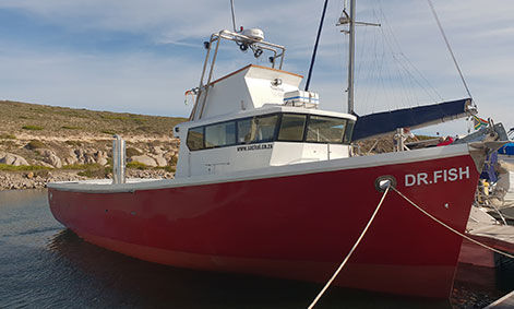 Trawler mit Steuerhaus - DR FISH - Sachal Shipyard