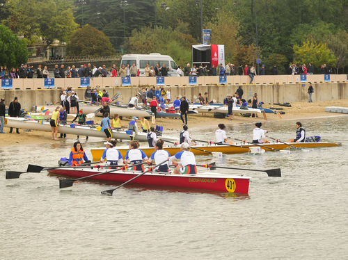 Ruderboot für Freizeitsport - Y 35 club  - Rowing Sport  boats - Doppelvierer / mit Steuermann