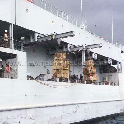 Davit für Rettungsboot - Ningbo New Marine Lifesaving Equipment Co., Ltd. - hydraulisch / Schwerkraft / elektrisch
