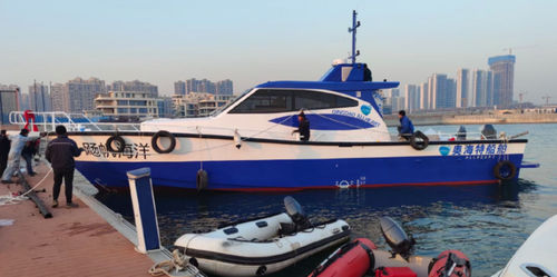 Motoryacht für Angelsport - PELAGIC 1700 - Qingdao Allheart Marine Co., Ltd. - mit Steuerhaus