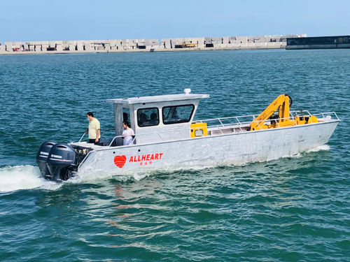 Landungsboot-Berufsschiff - 1000 - Qingdao Allheart Marine Co., Ltd. - Außenborder / Aluminium