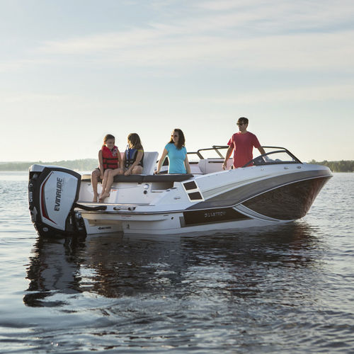 Außenborder-Runabout - GT 240 - Glastron - Bowrider / mit Doppelkonsole / Wakeboard