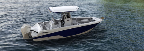 Außenborder-Konsolenboot - 243 Fisherman - Wellcraft - zweimotorig / mit Mittelkonsole / für Angelsport