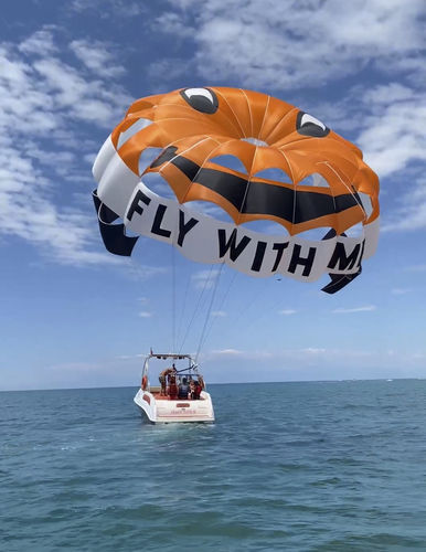 Maßgefertigter Parasailing-Fallschirm - RP42 FT Earth - Risus Parasails - für starke Winde / für Start auf Boot / für Strandstart