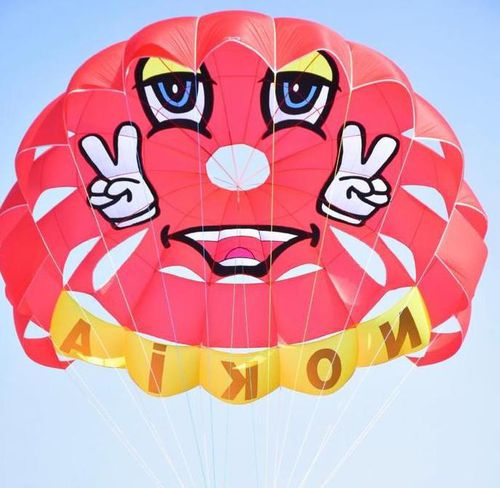 Maßgefertigter Parasailing-Fallschirm - RP39 FT JUPITER - Risus Parasails - für starke Winde / für Start auf Boot / für Strandstart