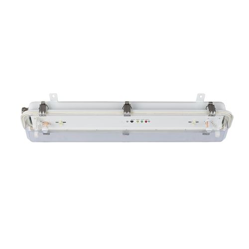 Notfalllampe - JCY48-2L - Haixing Maritime Electric Group - für Außenbereich / für Marineanwendungen / für Yacht