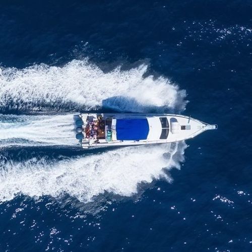 Express-Cruiser / Innenborder - Q6 - Vi Yachts - zweimotorig / Flybridge / max. 14 Personen