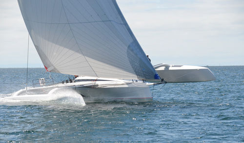 Trimaran - TR 42 Performance - Nautisch Centrum Delfzijl - für Kreuzfahrten / 4 Kabinen / Bugspriet