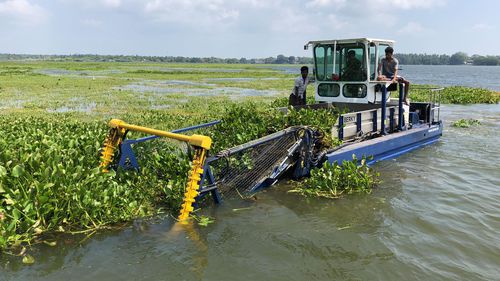Algenernte-Boot Berufsschiff - TRITON 550 AMPHI - Berky GmbH - Mehrrümpfer / amphibisch