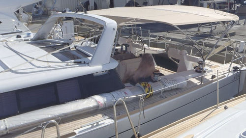 Bimini-Top für Segelboot - Sense 50 - KAPELL ANNAT - für Ruderhaus / mit Edelstahlstruktur / beige