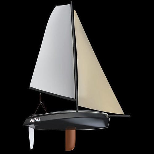 Zweihandjolle - PERFORMANCE 10 DINGHY - Aeleos Composites - Freizeit / Carbon