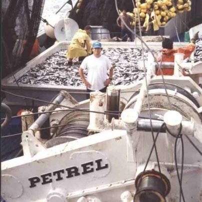Winde für Schiffe - PW-125-LSDA-SF3+3(B45) - Petrel International - Ringwadennetz / Hydraulikmotor / Kaskadenanordnung