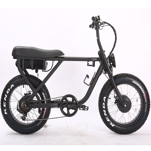 Elektrisches Rad - Haswing Outdoor - für Boot