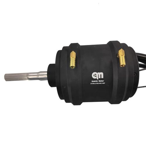 Elektrischer Motor - D155L210-WC - Dongguan Quanly Technology Co.,Ltd. - Antrieb / Innenbord-Wasserjet / Sternantrieb