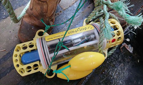 Sensor für Tiefenanwendung - Enki - SafetyNet Technologies - Akustik / Temperatur / Bewegung