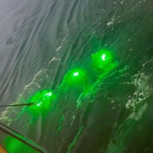 Berufsfischerei-Unterwasserbeleuchtung - Pisces - SafetyNet Technologies - LED
