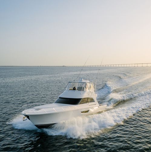 Motoryacht für Kreuzfahrten - 61C - Bertram - Sportfischer / Flybridge / 3 Kabinen