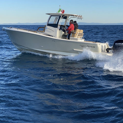 Cabin-Cruiser / Außenborder - T250 SF Capraia - Tuccoli - Technology Boats - Benzin / zweimotorig / Gleiter