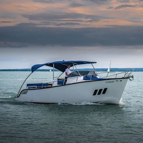 Innenborder-Daycruiser - 330 - PELSOLUTIONS - elektrisch / Open / max. 11 Personen