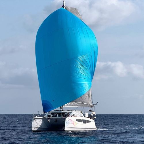 Katamaran - C-Cat 38 - Comar Yachts - für Kreuzfahrten / 2 Kabinen / 4 Kabinen