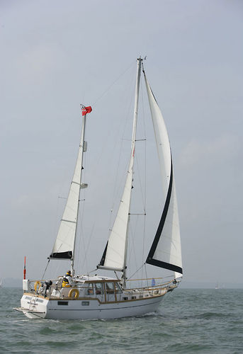 Motorsegler-Segelboot - 38 - Nauticat - für Kreuzfahrten / 1 Kabine