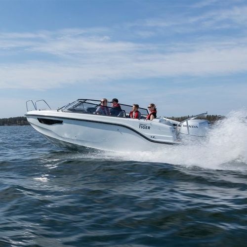 Außenborder-Daycruiser - TIGER DC - Silver - Open / Glasfaser / max. 8 Personen