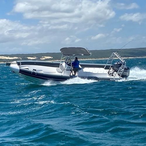 Außenborder-Schlauchboot - 900 - Falcon Inflatables - Benzin / Diesel / elektrisch
