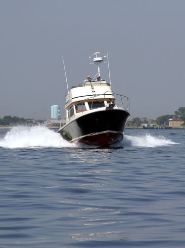 Express-Cruiser / Innenborder - 35 TOURNAMENT EXPRESS - Albin Marine - Flybridge / Lobster