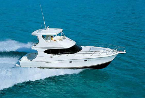 Sportfischer-Motoryacht - 50  - Silverton - verstellbar / Flybridge / 2 Kabinen