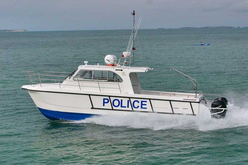 Patrouillenboot Berufsschiff - 350  - LeisureCat - Katamaran / Außenborder / Diesel