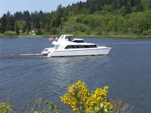 Katamaran-Motoryacht - Pedigree Cat 60 - Pedigree Cats - für Kreuzfahrten / Flybridge / Verdränger Rumpf