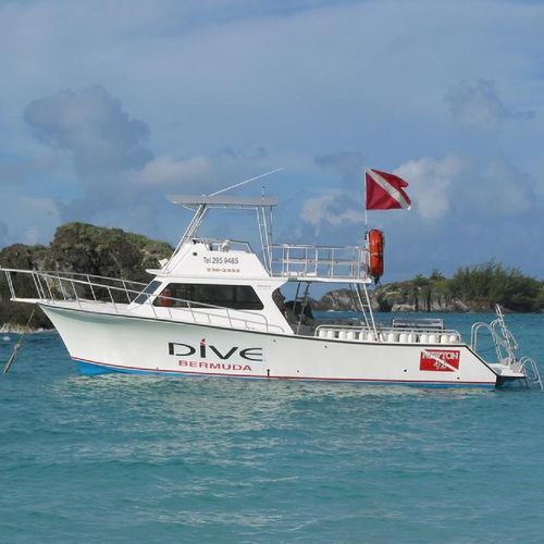 Express-Cruiser / Innenborder - 42'  - Newton Boats - zweimotorig / Flybridge / Tauch