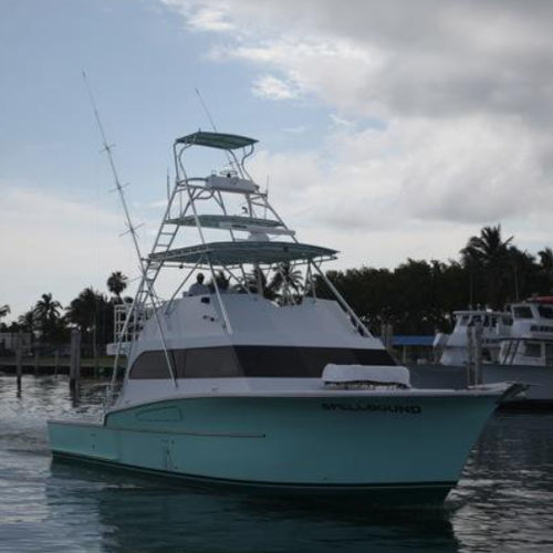Charter-Motoryacht - 53'  - Newton Boats - Sportfischer / Flybridge / Gleiter