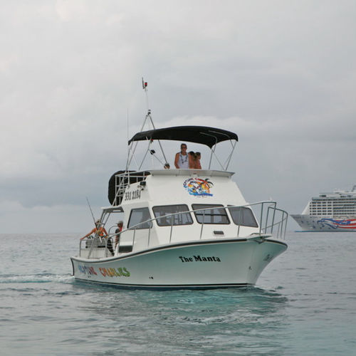 Passagierboot Berufsschiff - Newton 36' - Newton Boats - Taucherbasisboot / Innenborder / Glasfaser