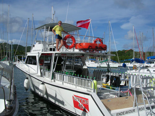 Taucherbasisboot Berufsschiff - 46' Dive Special - Newton Boats - Innenborder