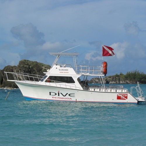 Taucherbasisboot Berufsschiff - 42' Dive Special - Newton Boats - Innenborder