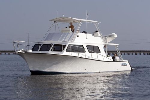 Express-Cruiser / Innenborder - 46'  - Newton Boats - Flybridge / Sportfischer