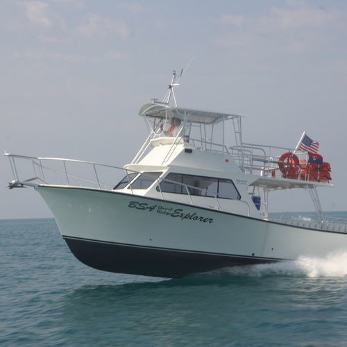 Express-Cruiser / Innenborder - 46'  - Newton Boats - zweimotorig / mit geschlossener Flybridge / Charter