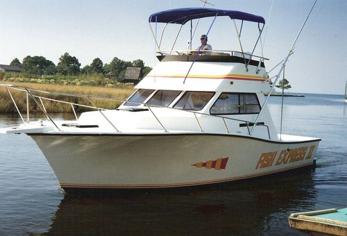 Express-Cruiser / Innenborder - 32'  - Newton Boats - zweimotorig / Flybridge / Sportfischer