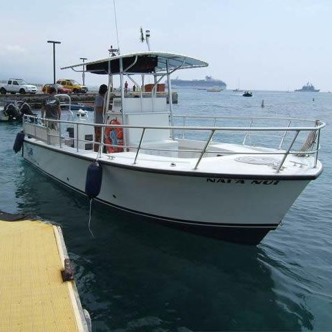 Innenborder-Konsolenboot - Newton 31' - Newton Boats - Diesel / Gleiter / mit Mittelkonsole