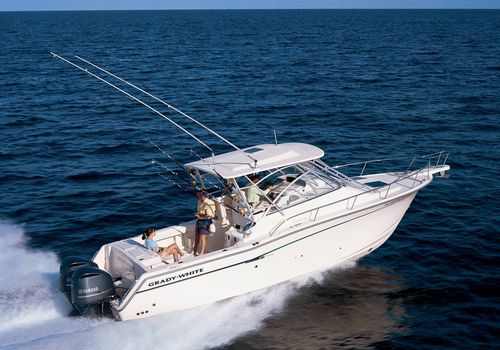 Express-Cruiser / Außenborder - Express 330 - Grady-White - zweimotorig / Open / Sportfischer