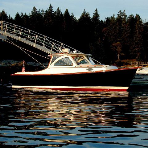 Express-Cruiser / Innenborder - TOMAHAWK - Lyman Morse - Hardtop / maßgefertigt