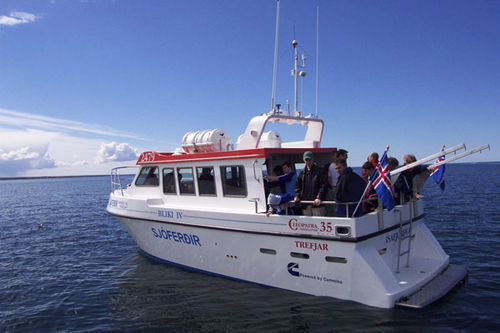 Passagierboot Berufsschiff - CLEOPATRA 35 - Trefjar - Innenborder
