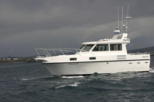 Express-Cruiser / Innenborder - Trefjar - Diesel / mit Steuerhaus / Sportfischer