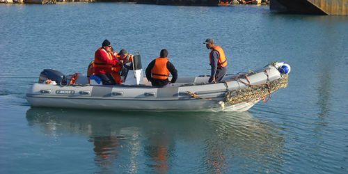 Taucherbasisboot Berufsschiff - 730 - Master - Außenborder / Festrumpf-Schlauchboot