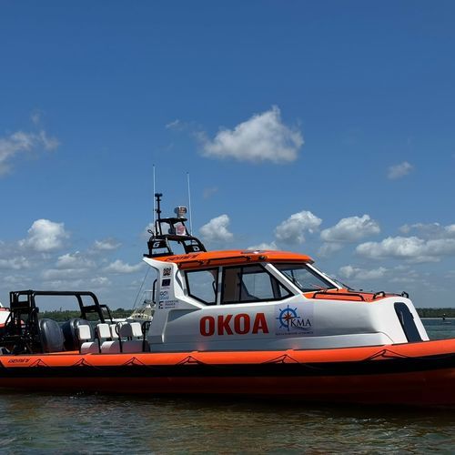 Rettungsboot Berufsschiff - WAVERIDER 1060 GRP - GEMINI MARINE PTY LTD - Taucherbasisboot / Außenborder / RIB